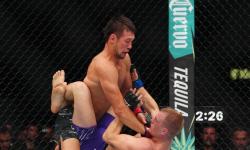 UFC Live Streams: Watch Every Fight Night Without Missing a Moment