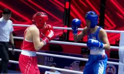 Boxing Streams 2026: Watch Every Fight Live Without Missing a Punch