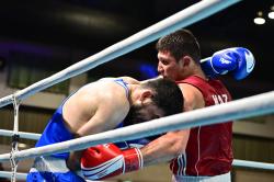 Watch Boxing Live: The Ultimate Destination for Free Fight Streams