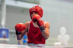 Boxing Streams: Watch Every Fight Live Without Missing a Punch