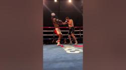 Boxing Streams: Watch Every Fight Live Without Missing a Punch