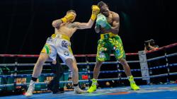 Best Boxing Streams Online – HD Live Fights Anytime, Anywhere